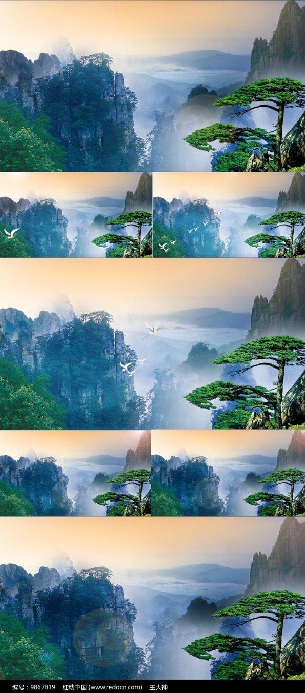 探索夫妻之间情绪稳定重要吗?,畅享红迪网的精彩内容